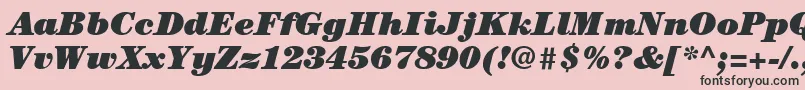 ItcCenturyLtUltraItalic Font – Black Fonts on Pink Background