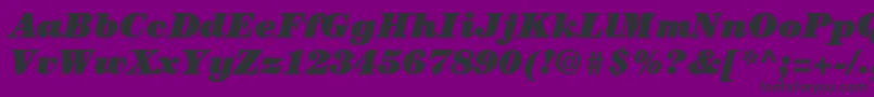 ItcCenturyLtUltraItalic Font – Black Fonts on Purple Background