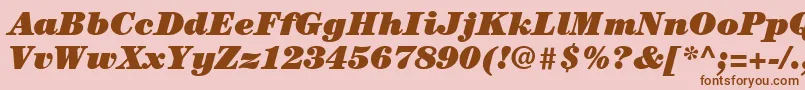 ItcCenturyLtUltraItalic Font – Brown Fonts on Pink Background