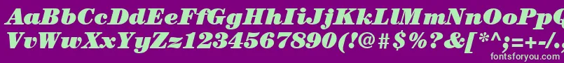 ItcCenturyLtUltraItalic Font – Green Fonts on Purple Background