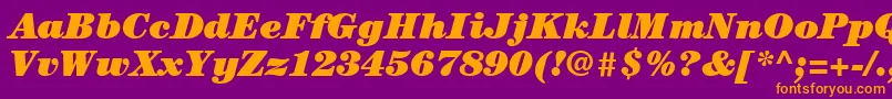 ItcCenturyLtUltraItalic Font – Orange Fonts on Purple Background