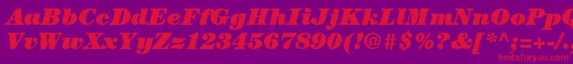 ItcCenturyLtUltraItalic Font – Red Fonts on Purple Background