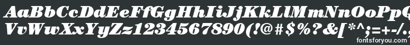 ItcCenturyLtUltraItalic-fontti – valkoiset fontit mustalla taustalla