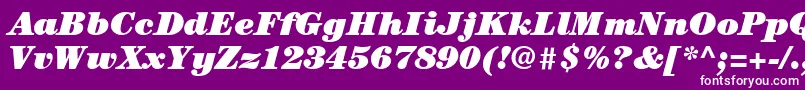 ItcCenturyLtUltraItalic Font – White Fonts on Purple Background