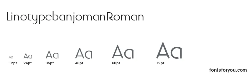 Размеры шрифта LinotypebanjomanRoman