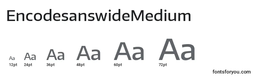 Размеры шрифта EncodesanswideMedium