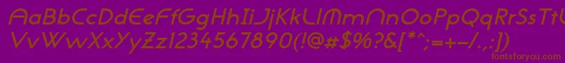 NeogothisadfstdDemibdoblique Font – Brown Fonts on Purple Background