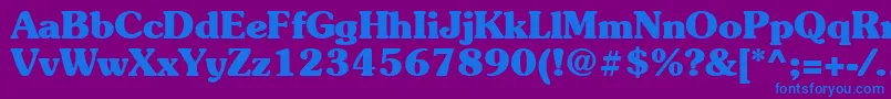 Suevermeer7Boldsh Font – Blue Fonts on Purple Background
