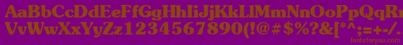 Suevermeer7Boldsh Font – Brown Fonts on Purple Background