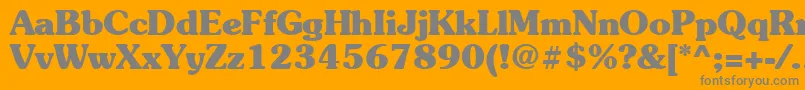 Suevermeer7Boldsh Font – Gray Fonts on Orange Background