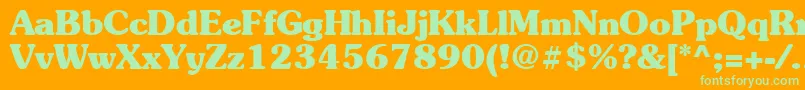 Suevermeer7Boldsh Font – Green Fonts on Orange Background