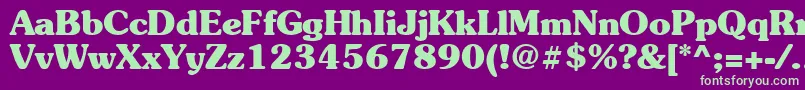 Suevermeer7Boldsh Font – Green Fonts on Purple Background