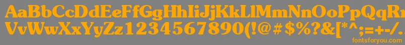 Suevermeer7Boldsh Font – Orange Fonts on Gray Background