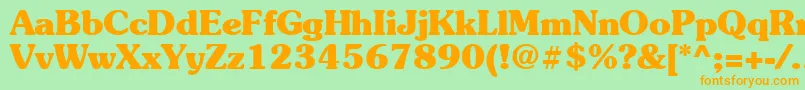 Suevermeer7Boldsh Font – Orange Fonts on Green Background