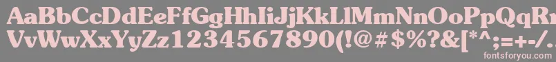 Suevermeer7Boldsh Font – Pink Fonts on Gray Background
