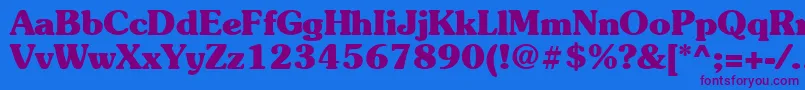 Suevermeer7Boldsh Font – Purple Fonts on Blue Background