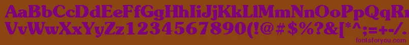 Suevermeer7Boldsh Font – Purple Fonts on Brown Background