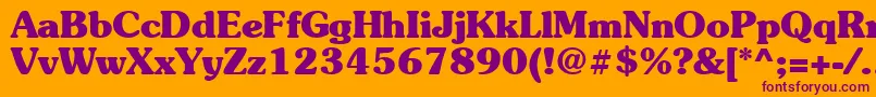 Suevermeer7Boldsh Font – Purple Fonts on Orange Background