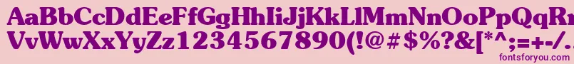 Suevermeer7Boldsh Font – Purple Fonts on Pink Background