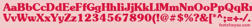 Suevermeer7Boldsh Font – Red Fonts on Pink Background
