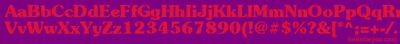 Suevermeer7Boldsh Font – Red Fonts on Purple Background
