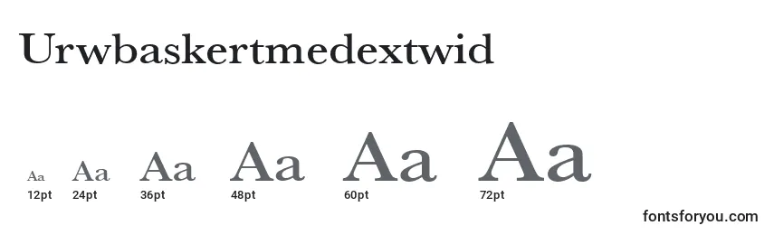 Размеры шрифта Urwbaskertmedextwid