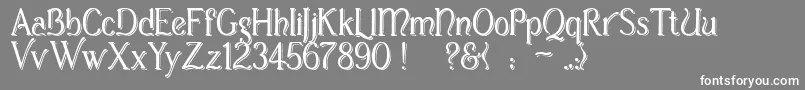 フォントCasuaShopsign – 灰色の背景に白い文字