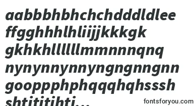 SourcesansproBlackitalic font – sesotho Fonts