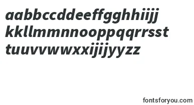 SourcesansproBlackitalic font – dutch Fonts