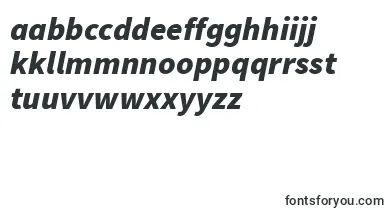 SourcesansproBlackitalic font – indonesian Fonts