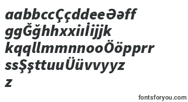 SourcesansproBlackitalic font – azerbaijani Fonts