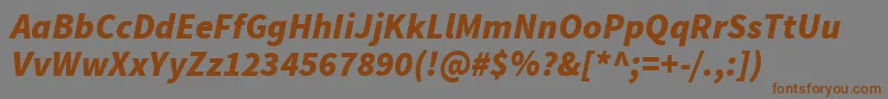 SourcesansproBlackitalic-fontti – ruskeat fontit harmaalla taustalla