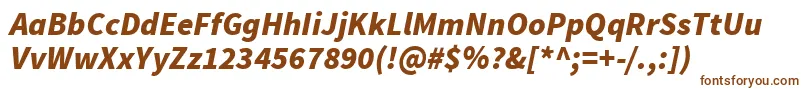 SourcesansproBlackitalic Font – Brown Fonts