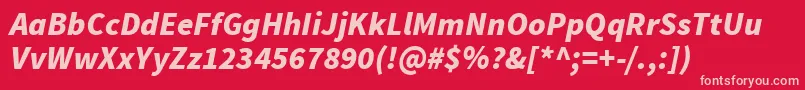 SourcesansproBlackitalic Font – Pink Fonts on Red Background