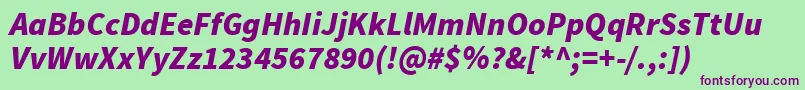 Czcionka SourcesansproBlackitalic – fioletowe czcionki na zielonym tle