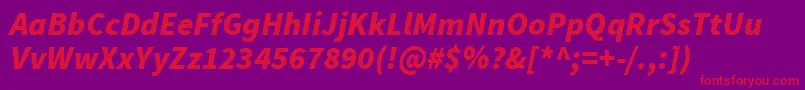 SourcesansproBlackitalic Font – Red Fonts on Purple Background