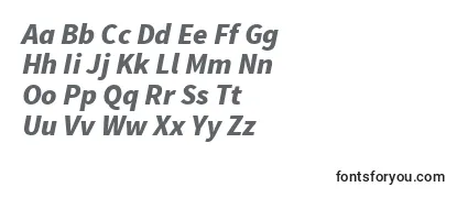 SourcesansproBlackitalic Font