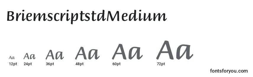 BriemscriptstdMedium Font Sizes