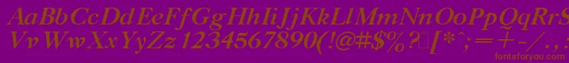 GazetaTitulBoldItalic.001.001 Font – Brown Fonts on Purple Background