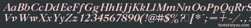 GazetaTitulBoldItalic.001.001 Font – Pink Fonts on Black Background