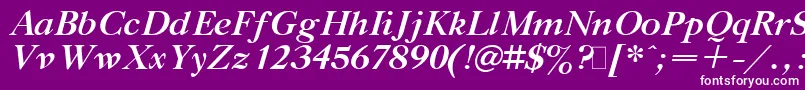 GazetaTitulBoldItalic.001.001 Font – White Fonts on Purple Background