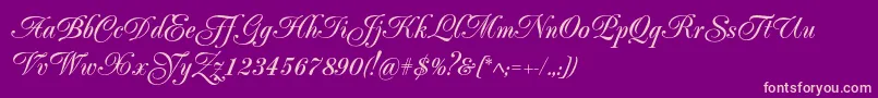 Popularscriptc-Schriftart – Rosa Schriften auf violettem Hintergrund