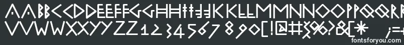 フォントRunik100Bold – 白い文字