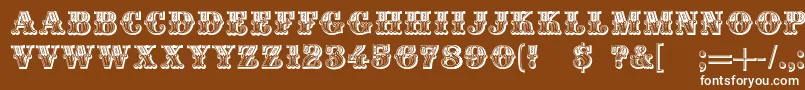 DsMoulinRougeDark Font – White Fonts on Brown Background