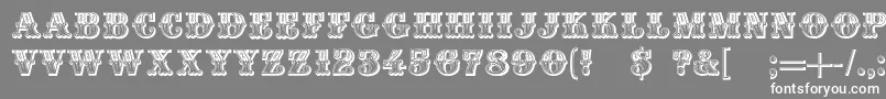 フォントDsMoulinRougeDark – 灰色の背景に白い文字