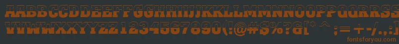 AMonumentotitulbwBold Font – Brown Fonts on Black Background