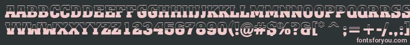 AMonumentotitulbwBold Font – Pink Fonts on Black Background