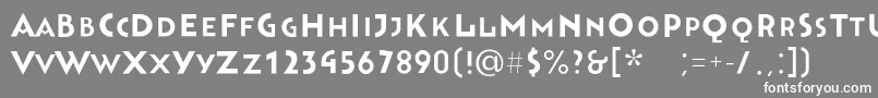 Bahnhofsolid Font – White Fonts on Gray Background