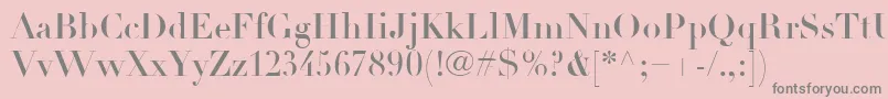 LinotypeDidotLtHeadline Font – Gray Fonts on Pink Background