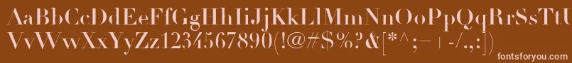 LinotypeDidotLtHeadline Font – Pink Fonts on Brown Background